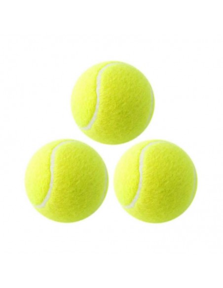 Pack de pelotas de tenis Dingli gympro.cl